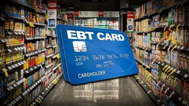 EEUU | ¿Cómo reportar tu tarjeta EBT si fue clonada o robada? (+Detalles)