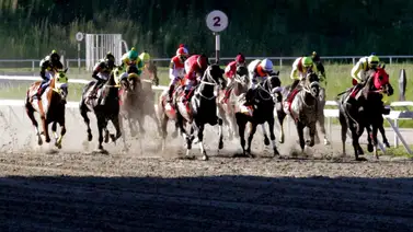 Asi quedaron los resultados de las carreras en La Rinconada 27-10-2024 Asi quedaron los resultados de las carreras en La Rinconada 27-10-2024