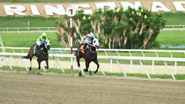 Jockey múltiple campeón toma el liderato de la estadística del tercer meeting en La Rinconada Jockey múltiple campeón toma el liderato de la estadística del tercer meeting en La Rinconada