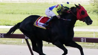 El de Froix se convierte en el primer caballo criollo que hace esta hazaña en La Rinconada El de Froix se convierte en el primer caballo criollo que hace esta hazaña en La Rinconada