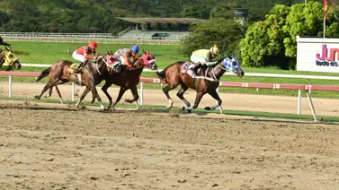 Jinete es multado en La Rinconada por esta acción Jinete es multado en La Rinconada por esta acción