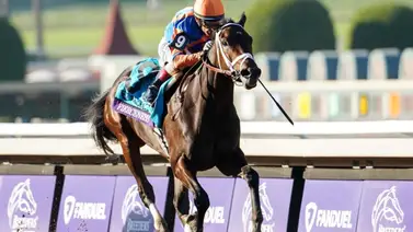 Negocian a Fierceness para la cría y su propietario aclara los términos Negocian a Fierceness para la cría y su propietario aclara los términos