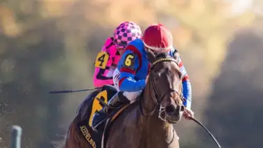 Junior Alvarado destacó al ganar stakes en dos hipódromos el fin de semana Junior Alvarado destacó al ganar stakes en dos hipódromos el fin de semana