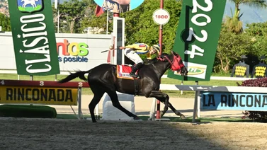 El de Froix es el único caballo que ha logrado esta hazaña en la historia de la hípica venezolana