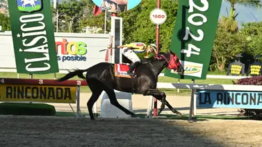 El de Froix es el único caballo que ha logrado esta hazaña en la historia de la hípica venezolana El de Froix es el único caballo que ha logrado esta hazaña en la historia de la hípica venezolana