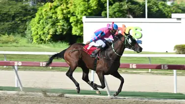 Aprendiz consigue su primera victoria después de seis años como jinete en La Rinconada Aprendiz consigue su primera victoria después de seis años como jinete en La Rinconada