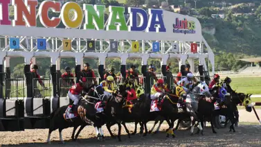 Más de $98.000 en premios en las 10 carreras programadas dentro de la reunión 42 en La Rinconada Más de $98.000 en premios en las 10 carreras programadas dentro de la reunión 42 en La Rinconada