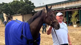 Mira el puesto de partida que le tocó a Thorpedo Anna en la Breeders´Cup Distaff