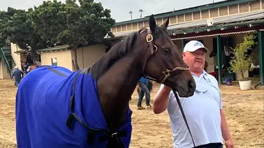 Mira el puesto de partida que le tocó a Thorpedo Anna en la Breeders´Cup Distaff Mira el puesto de partida que le tocó a Thorpedo Anna en la Breeders´Cup Distaff