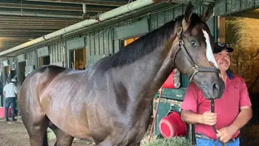 Javier Castellano será el jockey del potro de Gustavo Delgado en la Breeders´Cup Juvenile Javier Castellano será el jockey del potro de Gustavo Delgado en la Breeders´Cup Juvenile