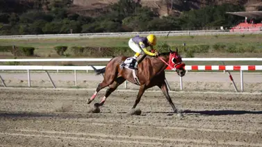 Hijo de la ganadora selectiva Luna Santa le pone un mundo y hace su estreno este domingo en La Rinconada Hijo de la ganadora selectiva Luna Santa le pone un mundo y hace su estreno este domingo en La Rinconada