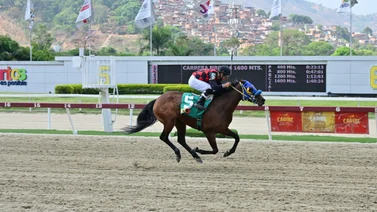 Ganadora del Clásico Asamblea Nacional Bolivariana (GII) regresa a la pista de La Rinconada luego de 175 días sin correr
