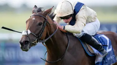 El mejor jockey del mundo monta en 9 carreras de las Breeders Cup El mejor jockey del mundo monta en 9 carreras de las Breeders Cup