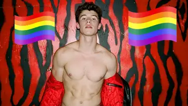 Shawn Mendes aborda los rumores que apuntan a que es gay Shawn Mendes aborda los rumores que apuntan a que es gay