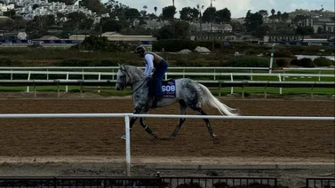 Surgen dos retirados de última hora en las Breeders´Cup de 2024