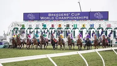 Llega la Nueva Gaceta Hípica Internacional con pronósticos americanos Llega la Nueva Gaceta Hípica Internacional con pronósticos americanos