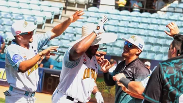 LVBP: Estos son los resultados de la jornada del 29 de octubre (+Video)
