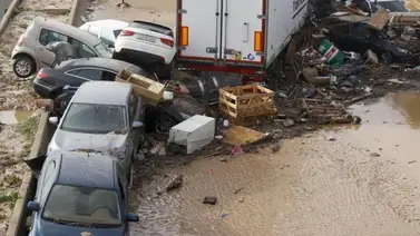 Valencia en crisis: La realidad tras el paso de Dana Valencia en crisis: La realidad tras el paso de Dana