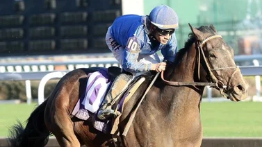 Conoce las montas de Junior Alvarado en la Breeders’ Cup 2024
