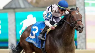 Irad Ortiz Jr. monta en 13 de las 14 Breeders’ Cup (+Listado) Irad Ortiz Jr. monta en 13 de las 14 Breeders’ Cup (+Listado)