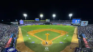 LVBP: Magallanes tiene estos preocupantes registros como locales (+Detalles) LVBP: Magallanes tiene estos preocupantes registros como locales (+Detalles)