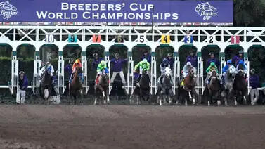 Breeders'Cup: Estos son los puestos más ganadores en la Breeders' Cup Breeders'Cup: Estos son los puestos más ganadores en la Breeders' Cup