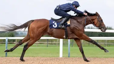 La increíble mala racha que deberá superar City of Troy para ganar la Classic de $7.000.000 La increíble mala racha que deberá superar City of Troy para ganar la Classic de $7.000.000