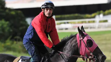 Johan Aranguren nos habla de sus compromisos de monta para este domingo en La Rinconada Johan Aranguren nos habla de sus compromisos de monta para este domingo en La Rinconada