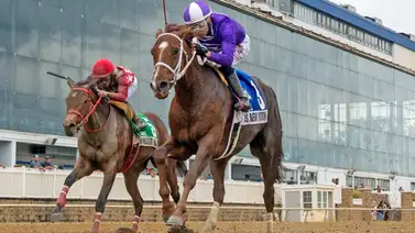 Yegua de entrenador venezolano es retirada a última hora de las Breeders´Cup Yegua de entrenador venezolano es retirada a última hora de las Breeders´Cup