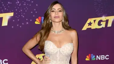Sofia Vergara enciende las redes sociales (+Foto Hot) Sofia Vergara enciende las redes sociales (+Foto Hot)