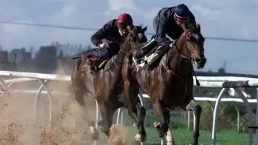 Breeders' Cup: Conozca los sementales que más dinero han producido con sus hijos en la Breeders' Cup Breeders' Cup: Conozca los sementales que más dinero han producido con sus hijos en la Breeders' Cup