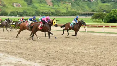 La mejor carta de este ejemplar es la velocidad y como ajustó buscará unir partida con llegada en el 5y6 dominical La mejor carta de este ejemplar es la velocidad y como ajustó buscará unir partida con llegada en el 5y6 dominical