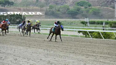 Con este ajuste está yegua puede sorprender a una de las fijas del ciclo de las no válidas Con este ajuste está yegua puede sorprender a una de las fijas del ciclo de las no válidas