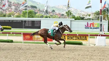 Como ajustó este ejemplar puede ser el "Tumba Torre" del 5y6 dominical Como ajustó este ejemplar puede ser el "Tumba Torre" del 5y6 dominical