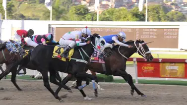 En carrera de muchos datos esta yegua que no es de las principales favoritas ajusta muy cómoda para la carrera En carrera de muchos datos esta yegua que no es de las principales favoritas ajusta muy cómoda para la carrera