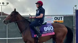 Dos hijos del mejor semental del mundo corren en las Breeders´Cup de 2024