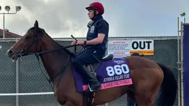 Dos hijos del mejor semental del mundo corren en las Breeders´Cup de 2024 Dos hijos del mejor semental del mundo corren en las Breeders´Cup de 2024