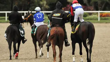 Se registra un nuevo retiro en el 5y6 para la reunión 42 de este domingo en la Rinconada Se registra un nuevo retiro en el 5y6 para la reunión 42 de este domingo en la Rinconada