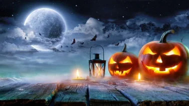 San Diego | Conozca las medidas de seguridad para los visitantes en Halloween (+Requisitos)