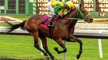 Mira cuáles 15 jockeys montarán por primera vez en las Breeders´Cup en 2024 Mira cuáles 15 jockeys montarán por primera vez en las Breeders´Cup en 2024