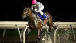 La nueva gran enemiga de Thorpedo Anna en la Breeders´Cup Distaff