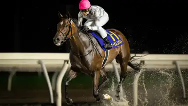 La nueva gran enemiga de Thorpedo Anna en la Breeders´Cup Distaff La nueva gran enemiga de Thorpedo Anna en la Breeders´Cup Distaff