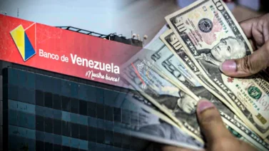 Paso a paso: Así puedes comprar dólares en el Banco de Venezuela
