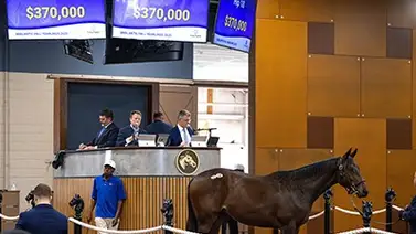 Hijo de Nyquist que costó $370.000 lideró el primer día de subastas en el Midlantic Fall Yearlings Hijo de Nyquist que costó $370.000 lideró el primer día de subastas en el Midlantic Fall Yearlings