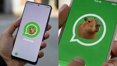 Activar el modo capibara en whatsapp Activar el modo capibara en whatsapp