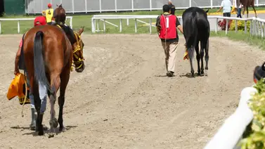 Uno de los presentados de Fernando Parilli Araujo queda retirado de la R38 por esta razón Uno de los presentados de Fernando Parilli Araujo queda retirado de la R38 por esta razón