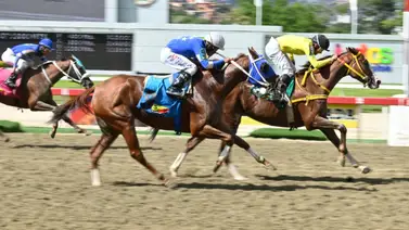 Así queda el ajuste de la línea de Gaceta Hípica que podría buscar su victoria en el 5y6 de la R38 Así queda el ajuste de la línea de Gaceta Hípica que podría buscar su victoria en el 5y6 de la R38