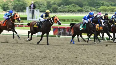 Antes de sellar el 5y6 conoce el ajuste contenido de la gran opción de la Gaceta Hípica Antes de sellar el 5y6 conoce el ajuste contenido de la gran opción de la Gaceta Hípica