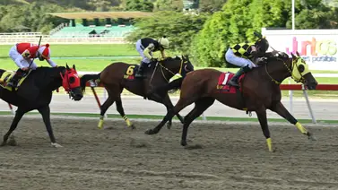 Alerta: Entérate del ajuste cómodo de una sorpresa de Gaceta Hípica para el cierre del 5y6 dominical Alerta: Entérate del ajuste cómodo de una sorpresa de Gaceta Hípica para el cierre del 5y6 dominical