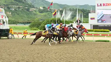 Cómo ajustó esta potra será muy difícil que la derroten en este tiro de 1.800 metros en La Rinconada Cómo ajustó esta potra será muy difícil que la derroten en este tiro de 1.800 metros en La Rinconada